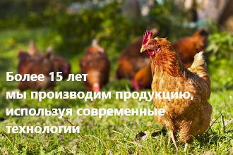Опыт работы